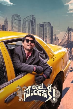 Ante Sundharaniki 2022 Hindi [HQ Hindi-Dub] Web-DL – 720p – 480p