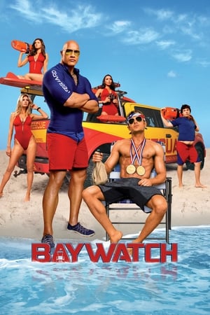 Baywatch 2017 Hindi Dual Audio 1080p BluRay [2.7GB] Esubs