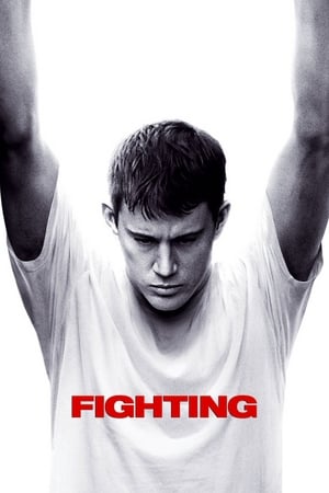 Fighting (2009) 100mb Hindi Dual Audio Hevc BRRip Download