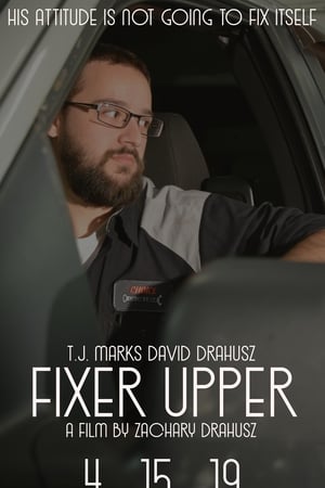 Fixer Upper (2019) Hindi Dual Audio 720p BluRay [1.2GB]