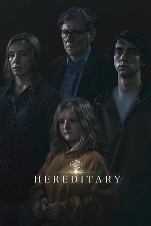 Hereditary 2018 Hindi Dual Audio HDRip 720p – 480p