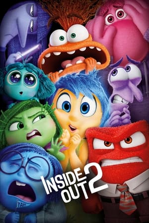 Inside Out 2 2024 Hindi CAMRip 1080p