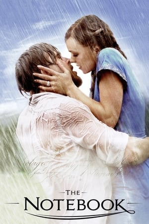 The Notebook 2004 Dual Audio Hindi BRRip Hevc [200MB]