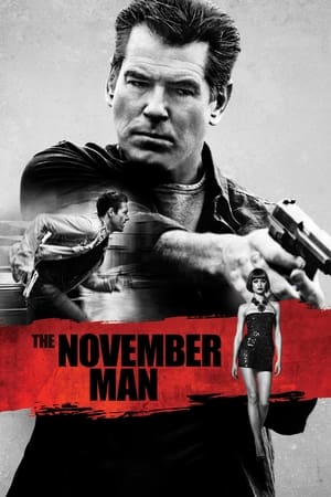 The November Man 2014 Dual Audio [Hindi - English] 480p BluRay 350MB